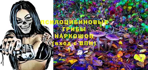 прущий лед Алзамай