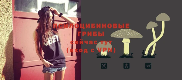 прущий лед Алзамай