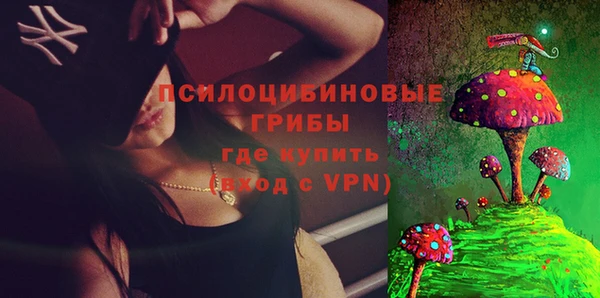 соль ск Михайлов