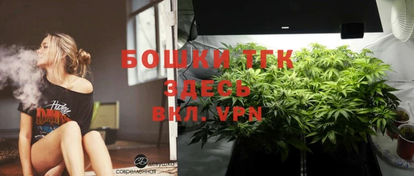 ГАЛЛЮЦИНОГЕННЫЕ ГРИБЫ Алексин
